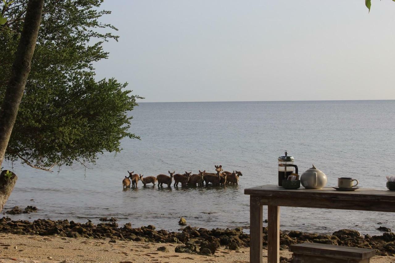 NusaBay Menjangan Banyuwedang Bagian luar foto